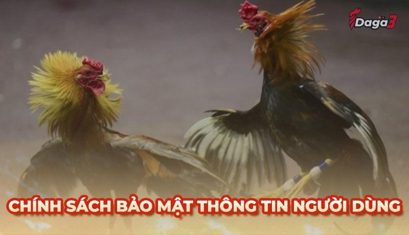 Chính sách bảo mật thông tin người dùng tại duosphere.agency