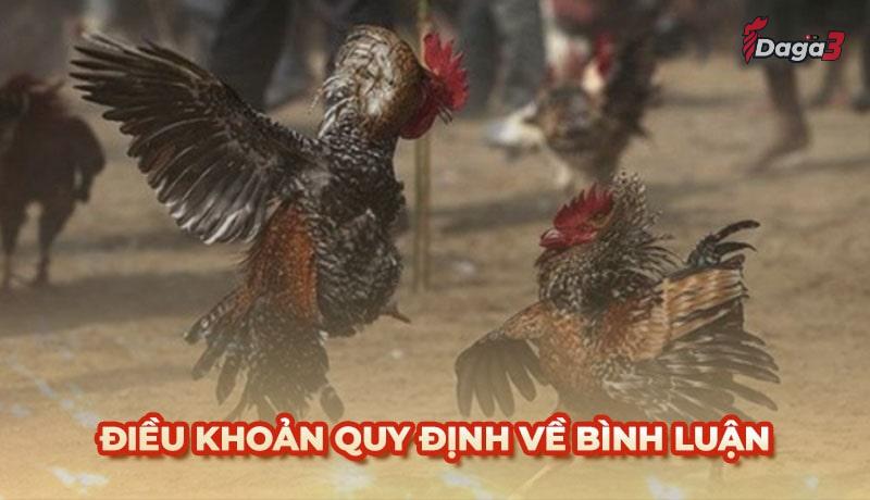 Người dùng cần tuân thủ một số điều khoản khi bình luận trên duosphere.agency