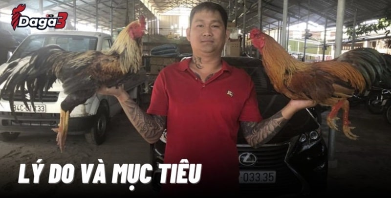 Mít Trà Cú sáng lập trang đá gà trực tiếp duosphere.agency